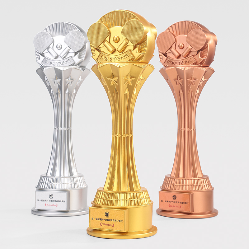 Aangepaste 49CM tafeltennis ha - Table Tennis Usa Team recensie en prijs