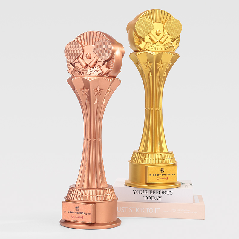 Aangepaste 49CM tafeltennis ha - Table Tennis Usa Team recensie en prijs