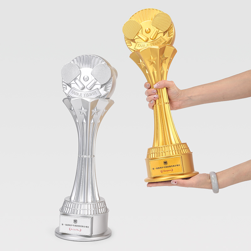 Aangepaste 49CM tafeltennis ha - Table Tennis Usa Team recensie en prijs
