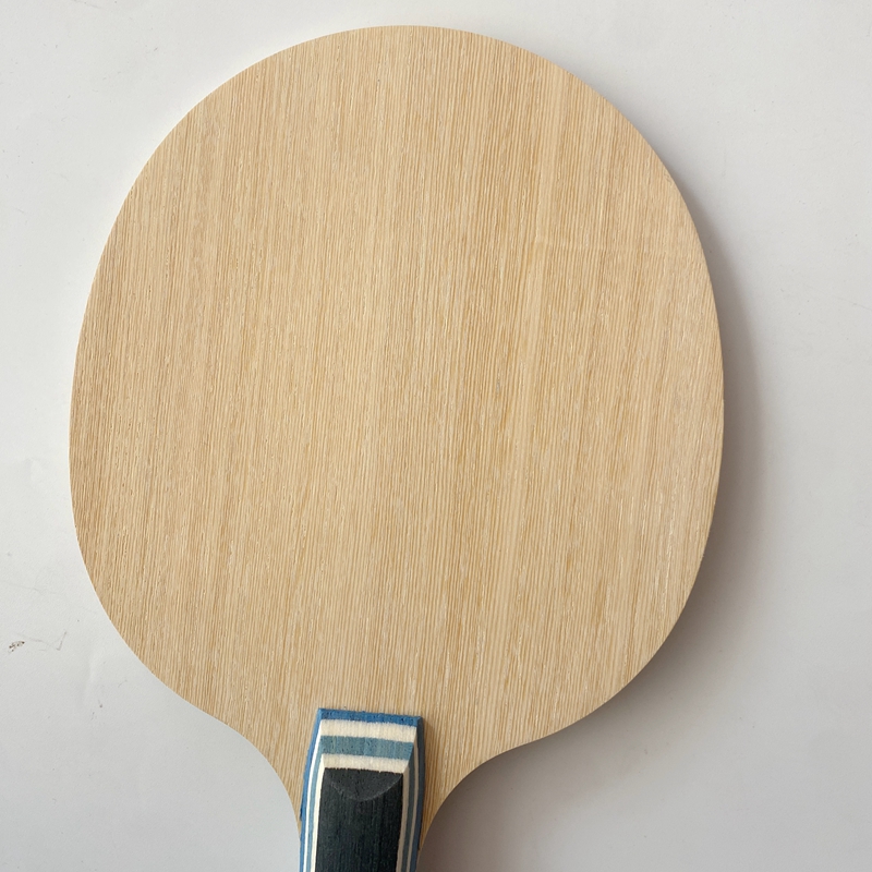 Lemuria VIS Carbon Fiber Tafel - Xu Xin Table Tennis recensie en prijs
