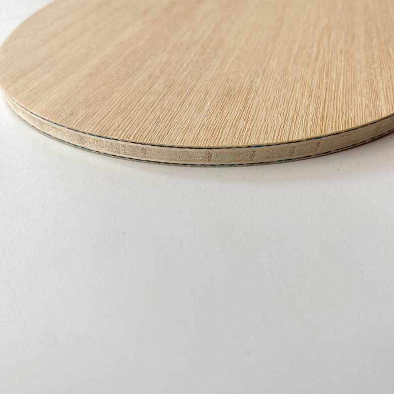 Lemuria VIS Carbon Fiber Tafel - Xu Xin Table Tennis recensie en prijs
