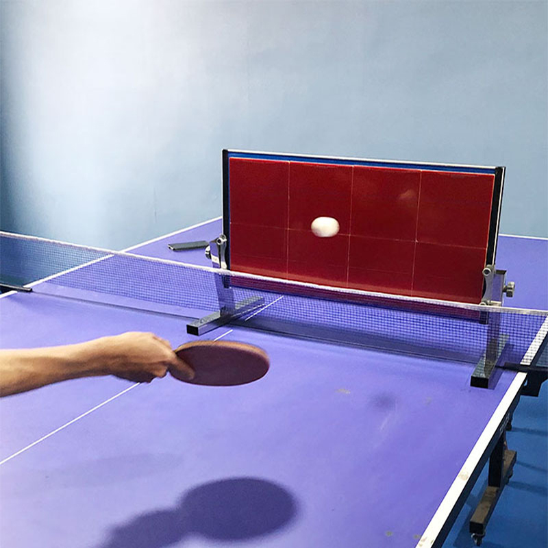Thuis Tafeltennis Rebound Boar - Table Tennis Olympics recensie en prijs